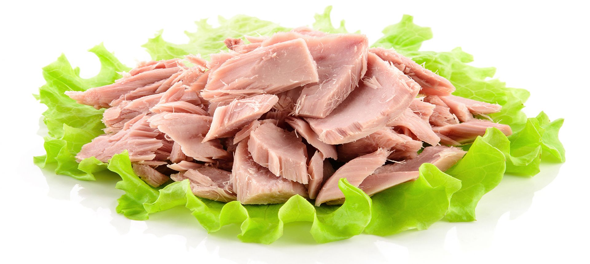 Nhập khẩu cá ngừ của Chile tăng mạnh năm 2025, cá ngừ Việt Nam có cơ hội bứt tốc