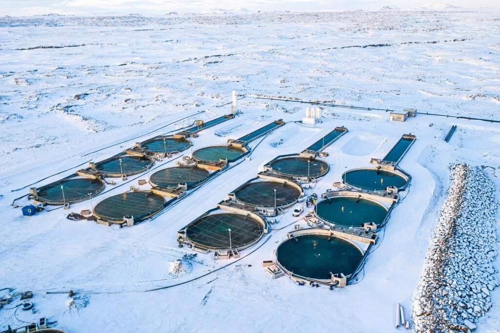 Hội nghị quốc tế thúc đẩy chuyển đổi xanh ngành nuôi trồng thủy sản