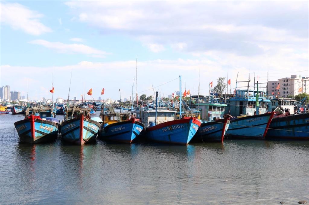 Vietnam determined to remove IUU “yellow card”, moving toward a sustainable fisheries sector