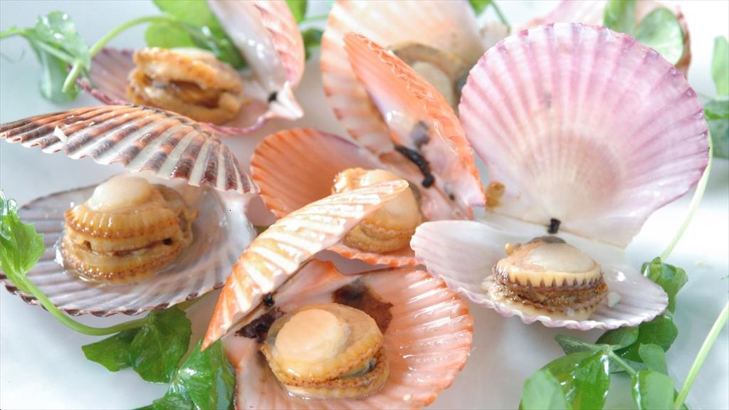 Vietnam’s scallop exports surge amid global supply chain restructuring