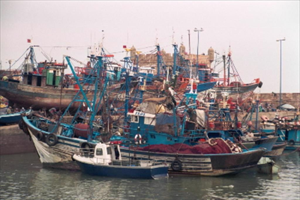 Morocco Khởi Động Dự Án GMC2 Nhằm Tăng Cường Ngành Thủy sản Bền vững