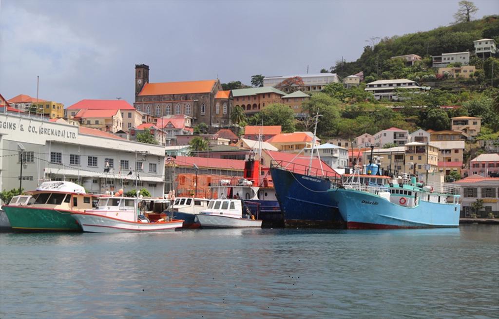 Grenada khôi phục xuất khẩu thủy sản sang Mỹ sau khi đạt chuẩn bảo vệ thú biển