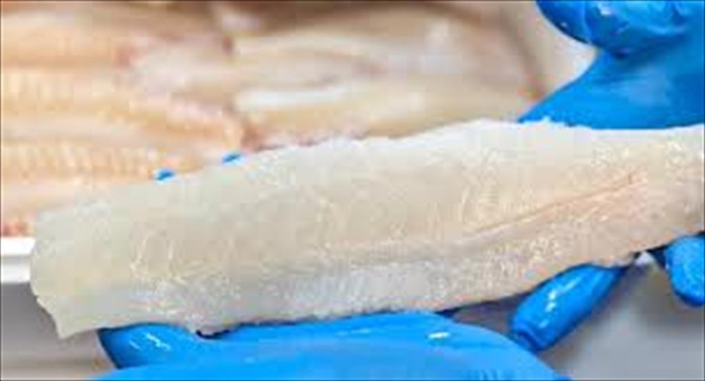 Giá cá tuyết Iceland lập đỉnh, cá haddock tăng mạnh