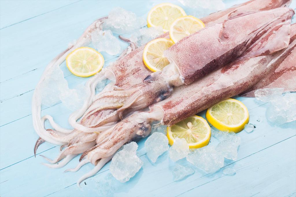 Thị trường mực ống toàn cầu Giá, chi phí tăng, nguồn cung thay đổi