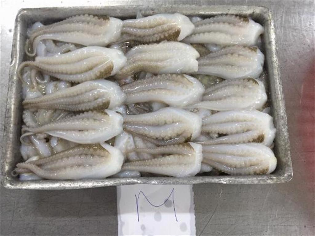 Giá bạch tuộc Philippines hạ nhiệt lần đầu tiên kể từ tháng 22024