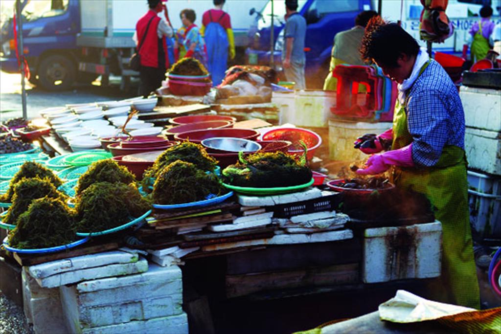 Nuôi trồng thủy sản Hàn Quốc tăng giá trị nhưng thiếu nguồn lực