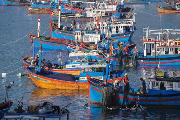 Con cá đi qua những ngã sóng (Vài suy nghĩ khi nhìn lại hành trình của một chuyến biển)