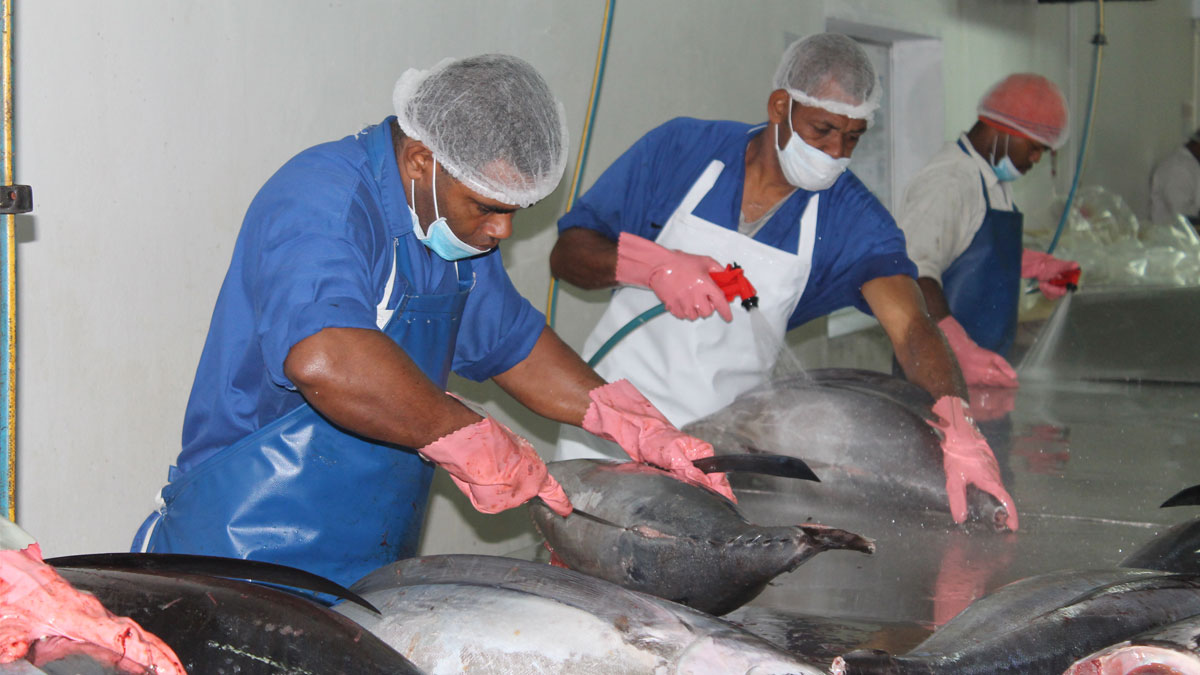 Fiji cần đẩy mạnh việc gia tăng giá trị cho cá ngừ