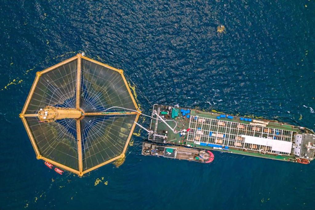 Đột phá từ Trung Quốc mở ra hướng đi mới cho cá nuôi cấy