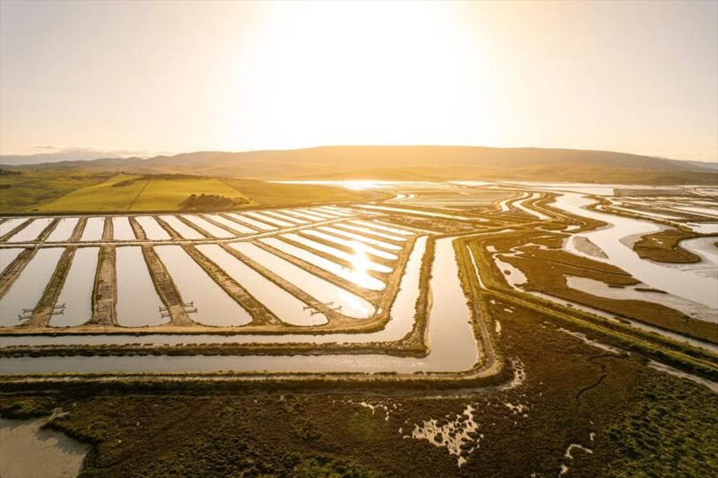 Trại cá biển Tây Ban Nha đầu tiên đạt chuẩn ASC Farm Standard mới