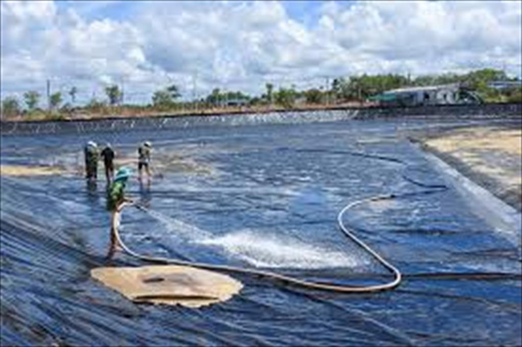 Cải tạo đáy ao – giải pháp then chốt kiểm soát bệnh tôm chậm lớn