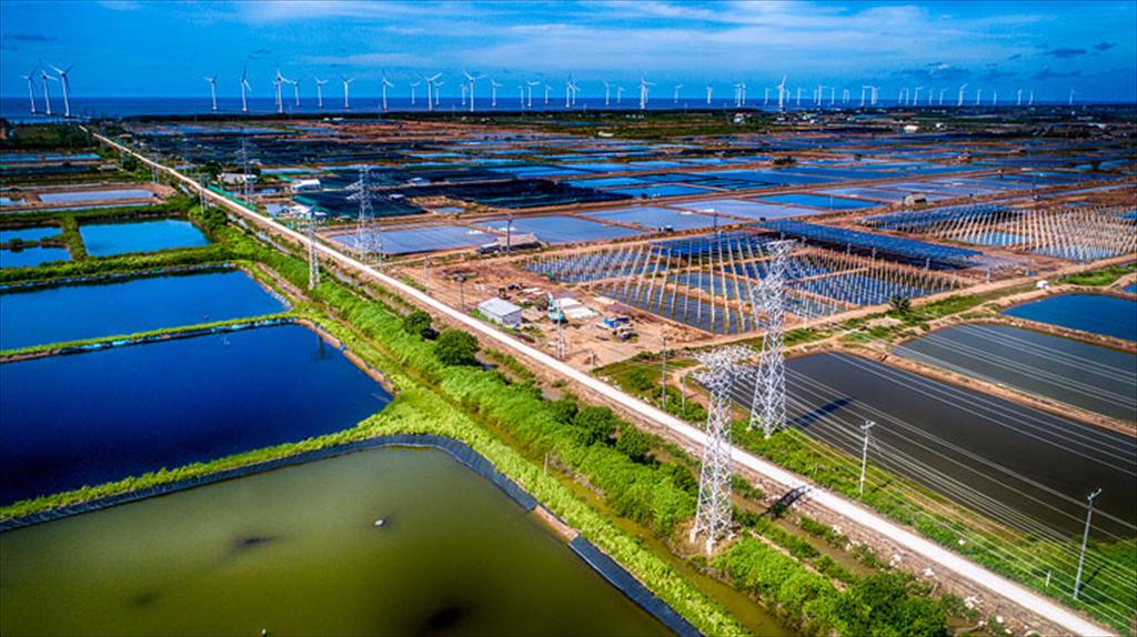 Công nghệ cao thúc đẩy chuyển đổi ngành tôm Việt Nam