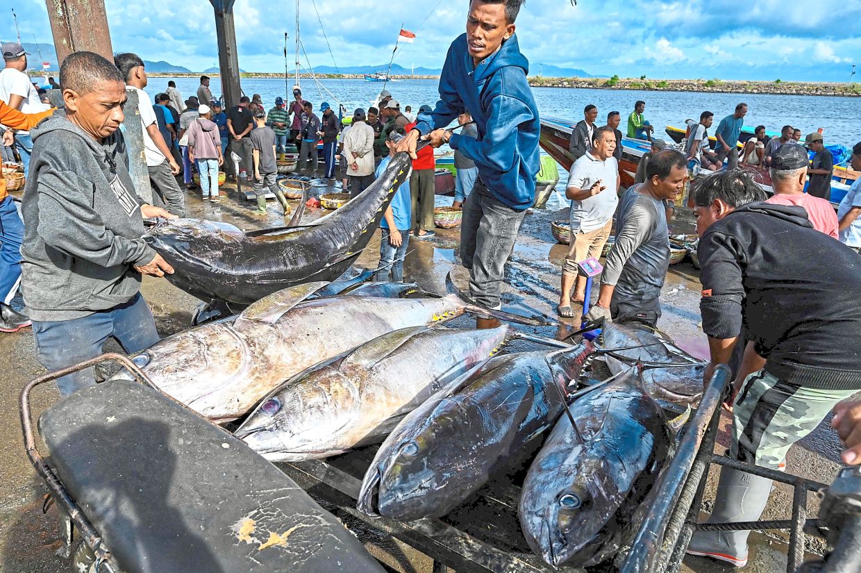 Thỏa thuận cá ngừ EU - Indonesia làm dấy lên lo ngại về đội tàu và tiêu chuẩn lao động của EU