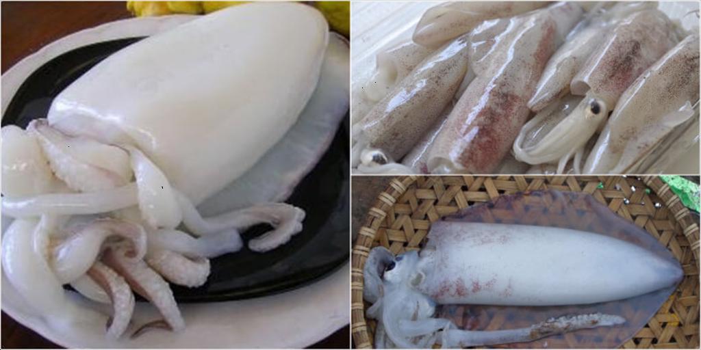 Thị trường mực toàn cầu Nguồn cung lớn, nhu cầu chậm phục hồi