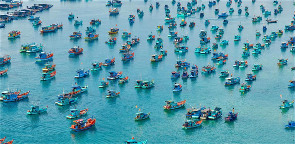 Đẩy mạnh chuyển đổi nghề, giảm áp lực khai thác thủy sản