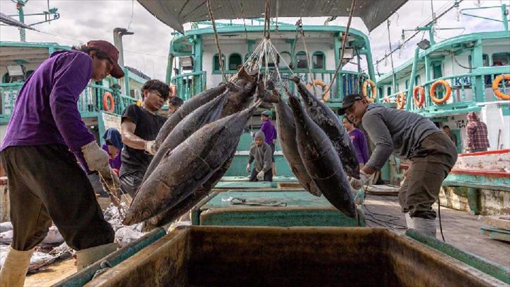 Xuất khẩu thủy sản Indonesia giảm do xung đột Trung Đông leo thang