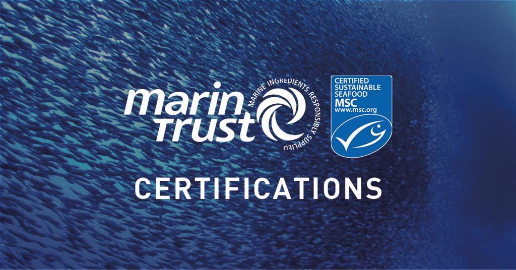 MSC và MarinTrust lấy ý kiến sửa đổi tiêu chuẩn chuỗi hành trình sản phẩm thủy sản