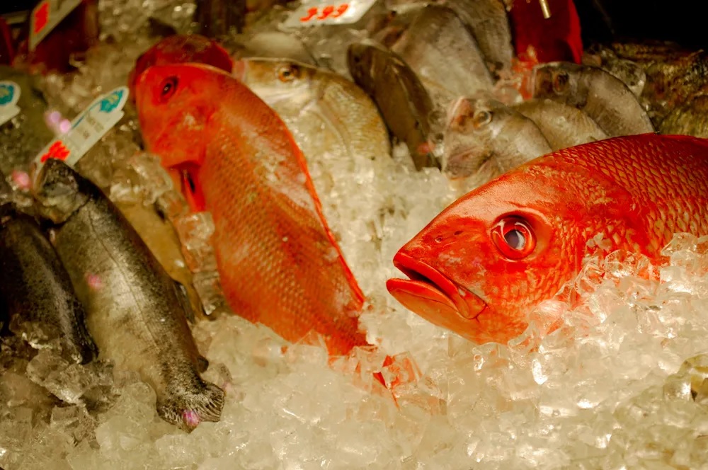 IAEA triển khai dự án 5 năm ứng dụng công nghệ hạt nhân chống gian lận thủy sản