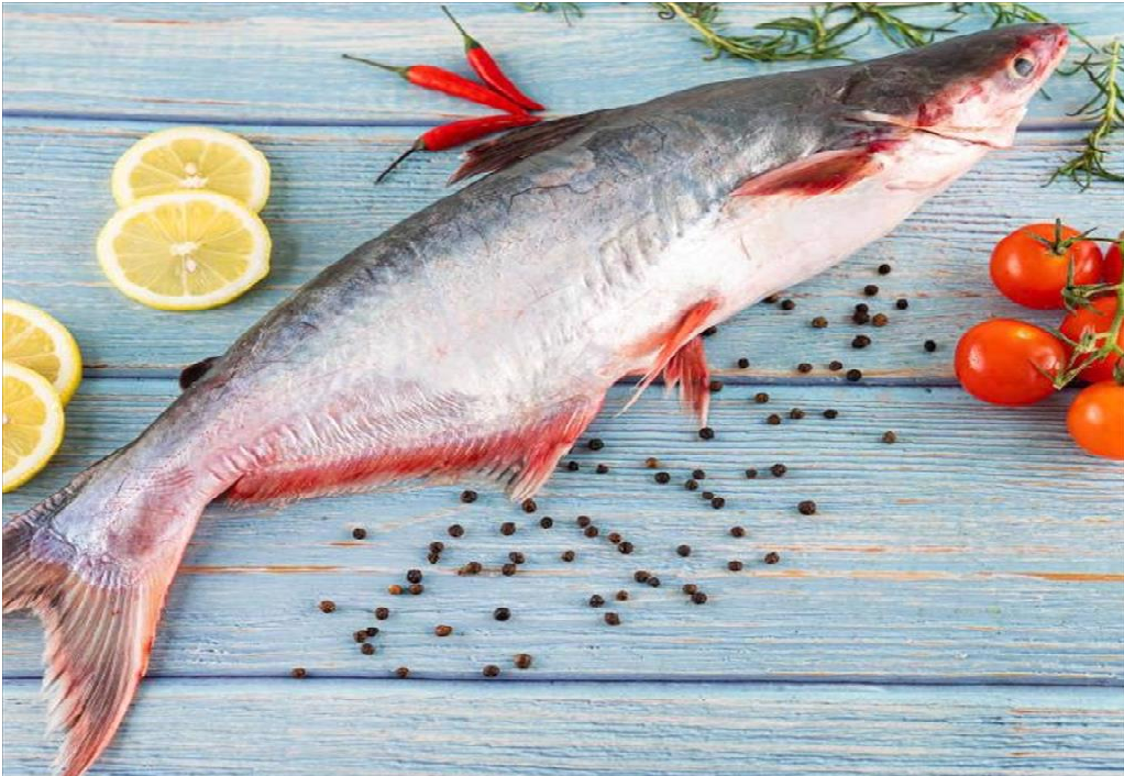 Cá tra chuyển hướng từ “sản lượng” sang “giá trị” trong năm 2026