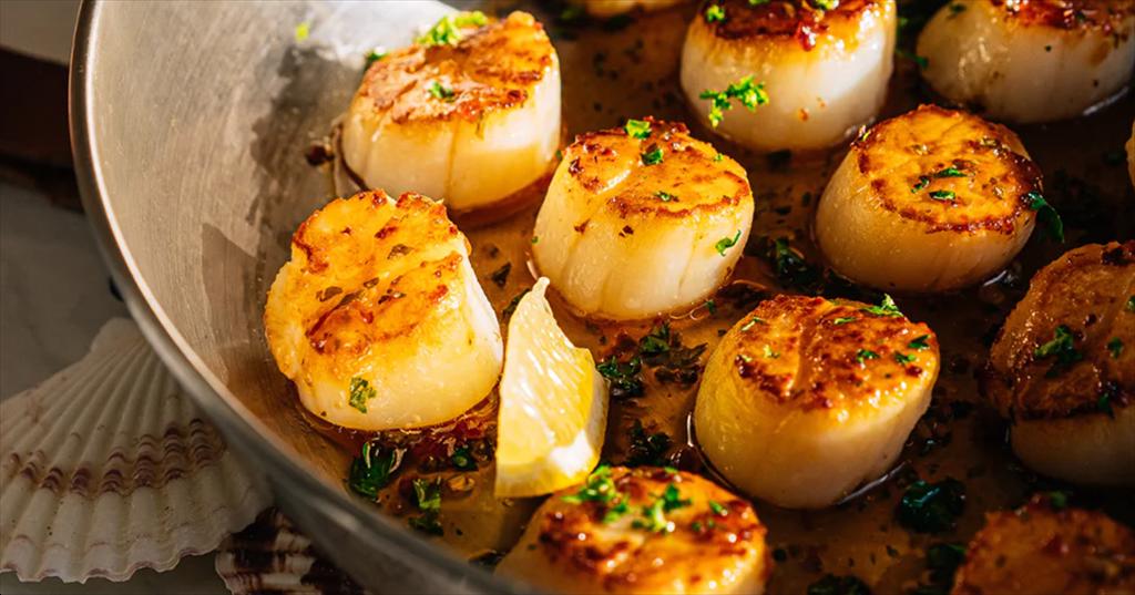 Mùa sò điệp Mỹ khởi động Nguồn cung dồi dào nhưng lệch kích cỡ