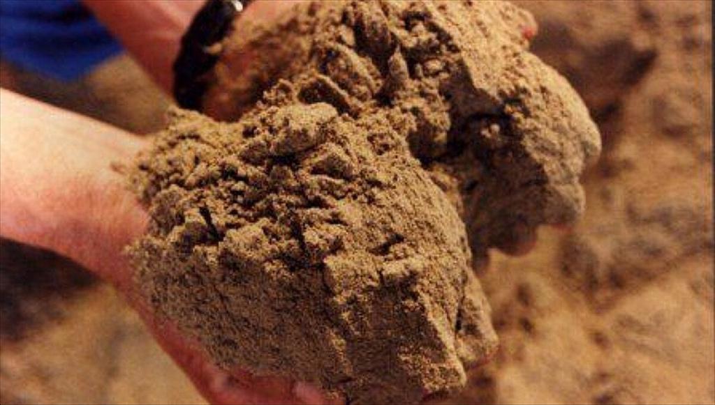 Giá bột cá toàn cầu lập đỉnh mới do lo ngại nguồn cung từ Peru