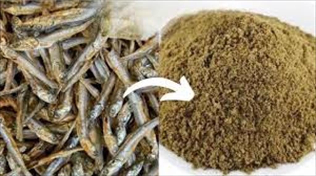 Giá nguyên liệu thức ăn chăn nuôi tại Trung Quốc tăng mạnh