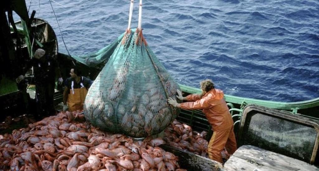 Xuất khẩu thủy sản Argentina tăng trưởng mạnh