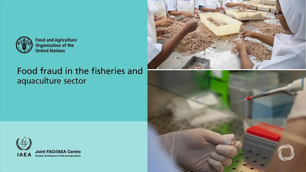 FAO Gian lận có thể chiếm tới 20% thương mại thủy sản toàn cầu