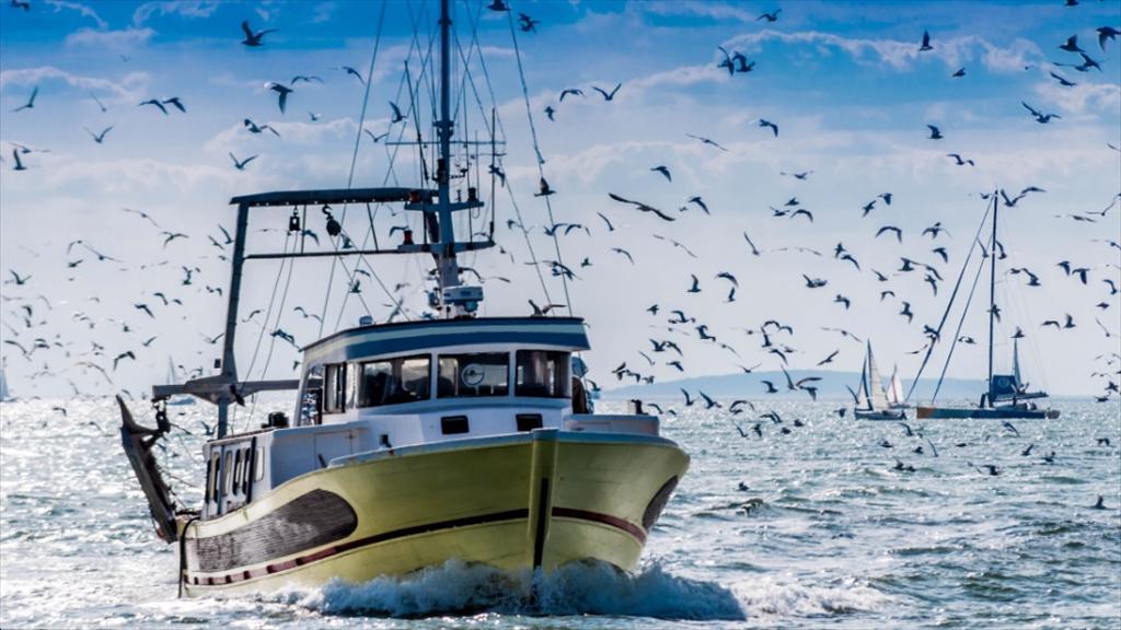 Toàn bộ đội tàu cá châu Âu đối mặt khủng hoảng vì giá dầu diesel