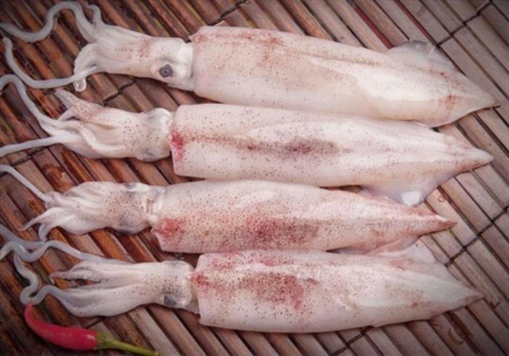 Giá mực giảm do nguồn cung tăng mạnh, thị trường tiêu thụ thận trọng