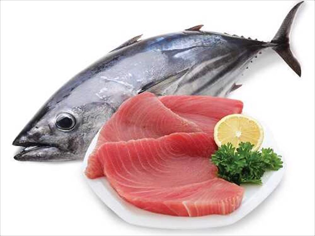 Vietnam’s tuna exports to Spain double