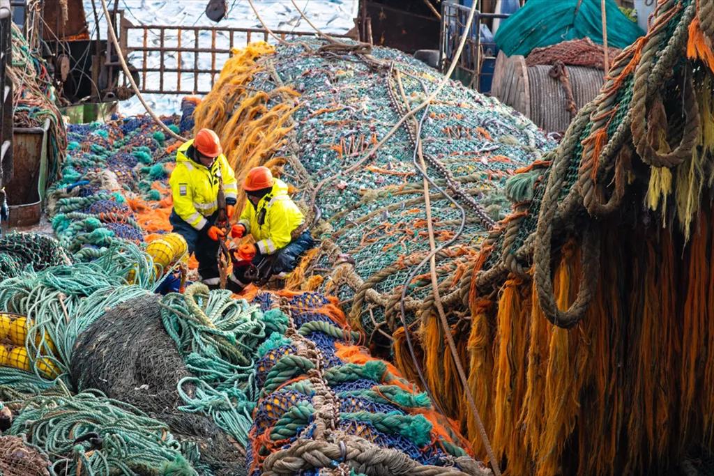 Sản lượng khai thác thủy sản Nga tăng mạnh đầu năm 2026