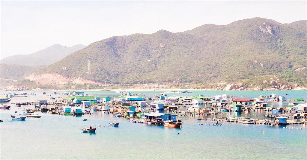 Lam Dong fisheries maintain growth momentum