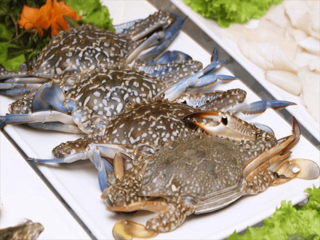 Mỹ cấm nhập khẩu ghẹ Philippines, mở đường cho ghẹ Việt Nam vào thị trường Mỹ