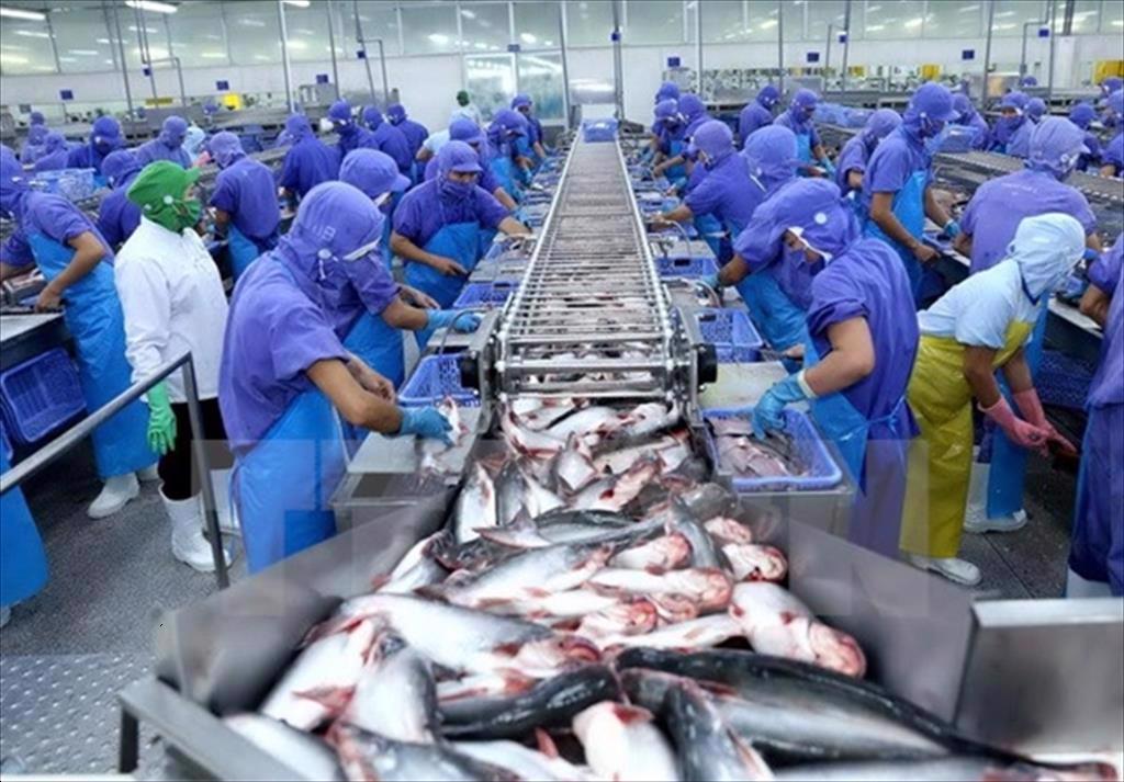ASEAN A promising market for Vietnamese pangasius exports