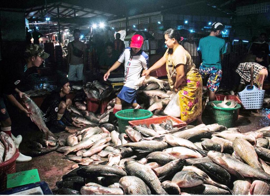 Myanmar xuất khẩu thủy sản tới 42 quốc gia