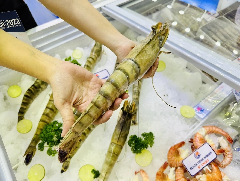 Xuất khẩu tôm 4 tháng đầu năm 2026 Nhu cầu từ châu Á ổn định, áp lực từ thị trường Mỹ gia tăng