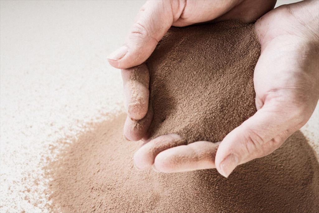 Protein đơn bào có thể tăng trưởng gấp 10 lần vào năm 2030