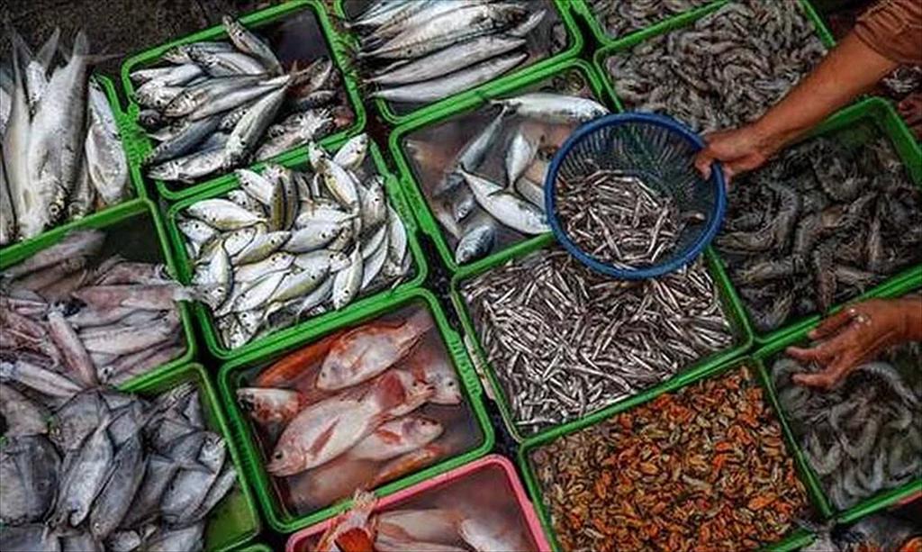 Thị trường thủy sản Nga mở rộng cơ hội cho doanh nghiệp Ấn Độ