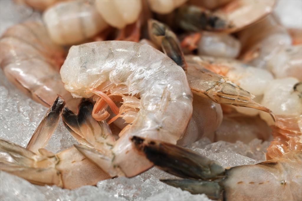 Shrimp Prices Recover, Mekong Delta Expects Expansion in Stocking Areas
