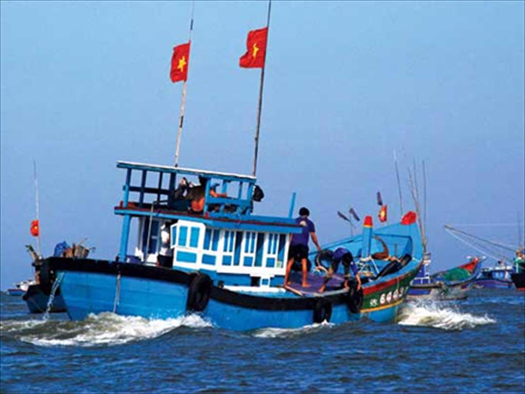 BẢN DỰ BÁO NGƯ TRƯỜNG CÁ NỔI NHỎ THÁNG 62026