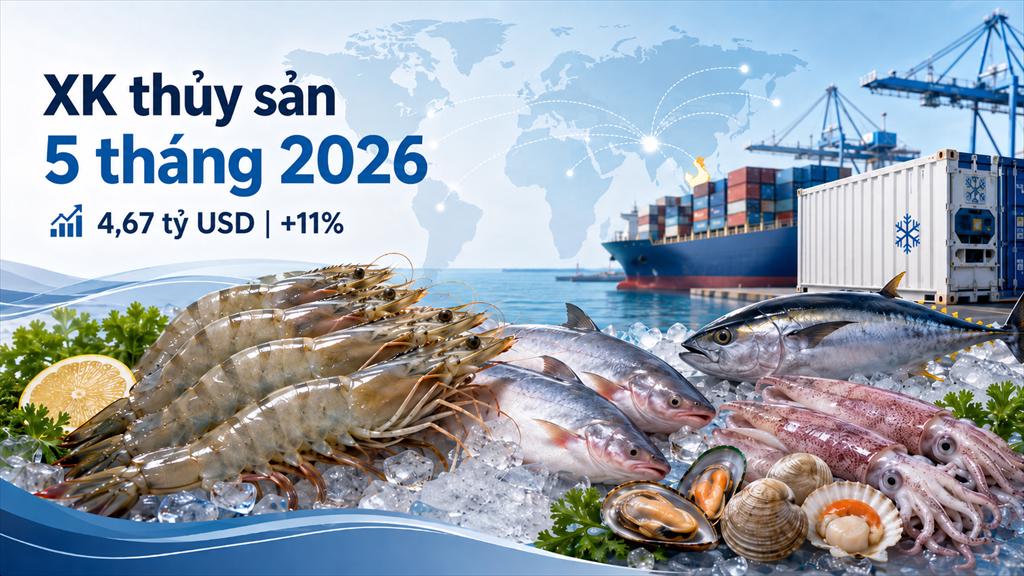 5 tháng đầu năm 2026 Xuất khẩu thủy sản tăng trưởng tích cực, nhưng đơn hàng nửa cuối năm còn nhiều biến số