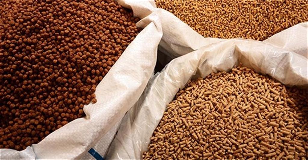 Giá bột cá tăng mạnh gây áp lực cho ngành thức ăn chăn nuôi