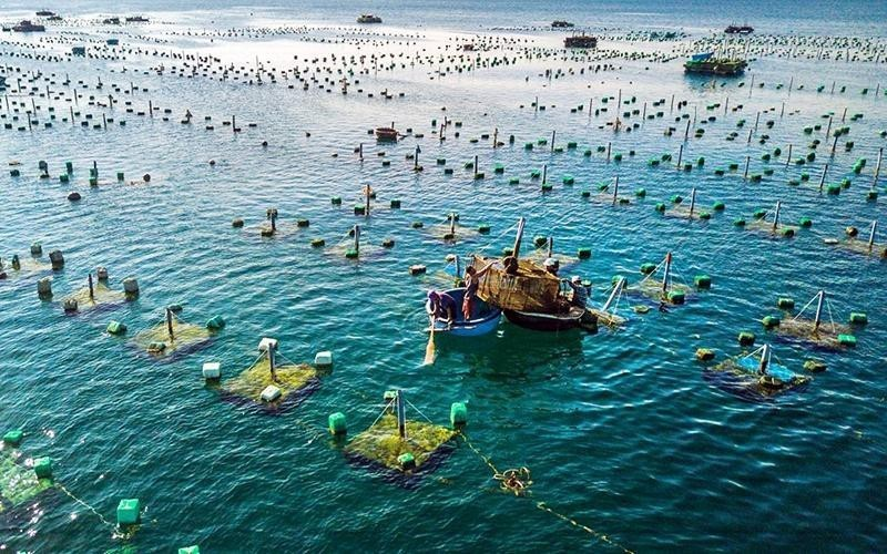 Ngành thủy sản thúc đẩy khung đánh giá chung về cam kết phát triển bền vững