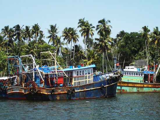 Kerala áp dụng lệnh cấm kéo lưới 52 ngày để bảo vệ nguồn lợi biển