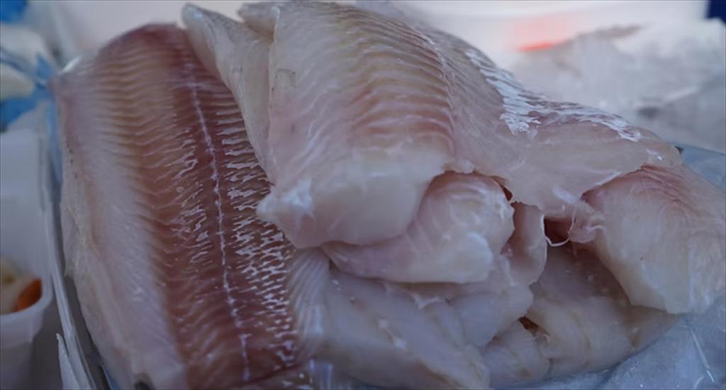 EU đề xuất mở rộng trừng phạt Nga, xem xét cấm toàn diện cá tuyết Nga