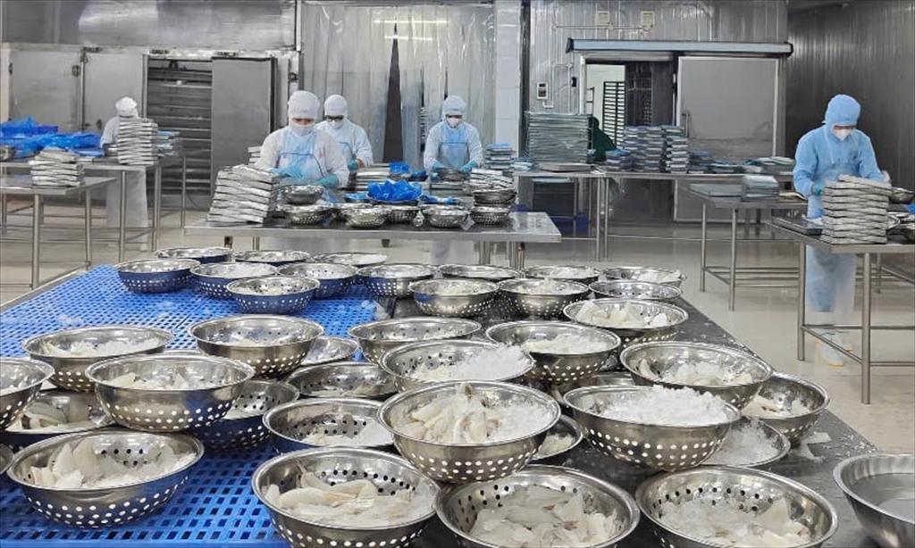 OECD-FAO Ngành nguyên liệu biển bước vào giai đoạn chuyển đổi, phụ phẩm thủy sản gia tăng vai trò