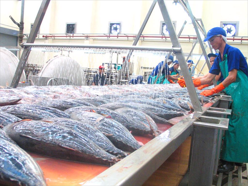 638 nhà máy chế biến thủy sản Indonesia được cấp phép xuất khẩu sang Trung Quốc