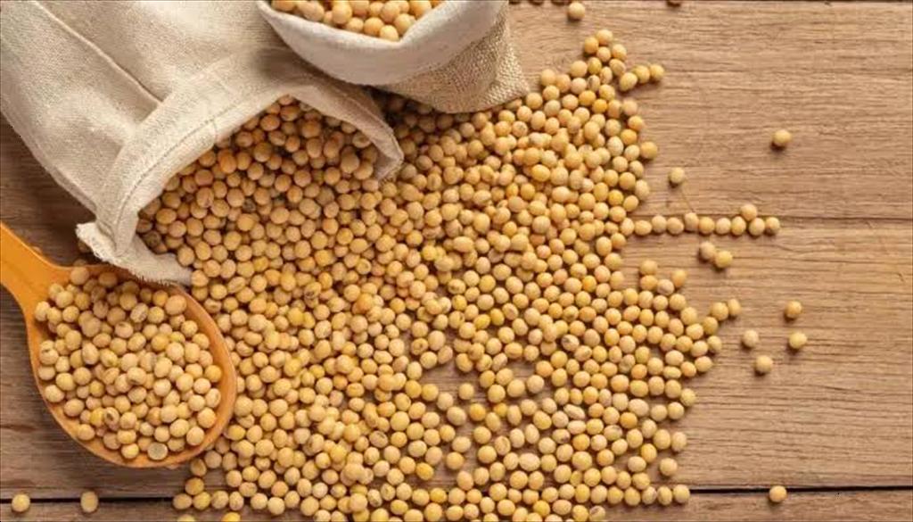 Chất lượng đậu nành định hình hiệu quả thức ăn thủy sản