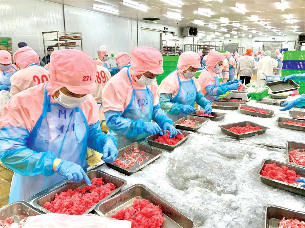 Ba Hai JSC Nâng giá trị thủy sản Việt từ chuỗi sản xuất hiện đại